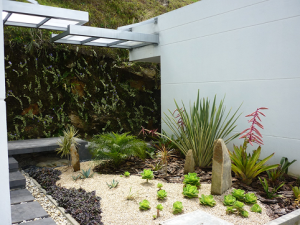 WhatsApp Image 2025-08-05 at 1.58.40 PM (1) 1