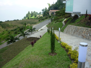 WhatsApp Image 2025-08-05 at 1.58.40 PM (2) 1